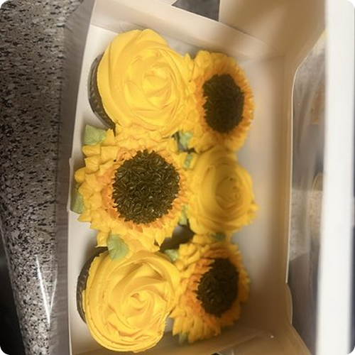 5hyljbwpq0xbftz6czikhguef8n0